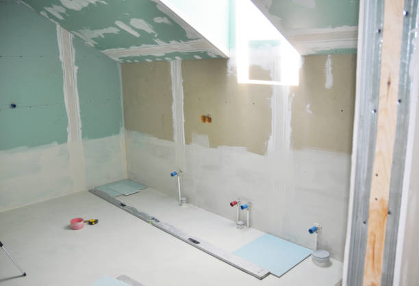 Best Water Damage & Mold Remediation  in Palmer Lake, CO