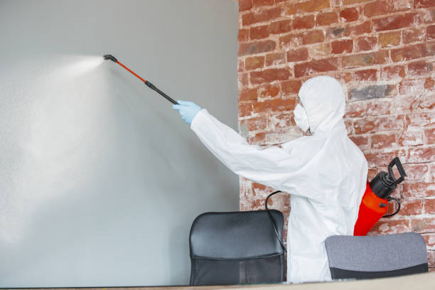Best Mold Documentation for Insurance Claims  in Palmer Lake, CO