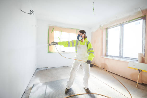 Reliable Palmer Lake, CO Mold Removal Solutions