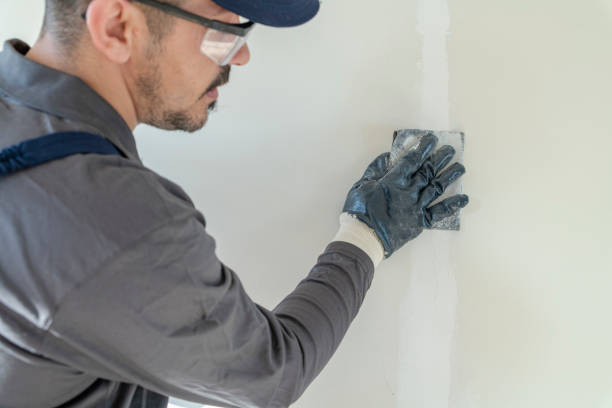 Reliable Palmer Lake, CO Mold Removal Solutions