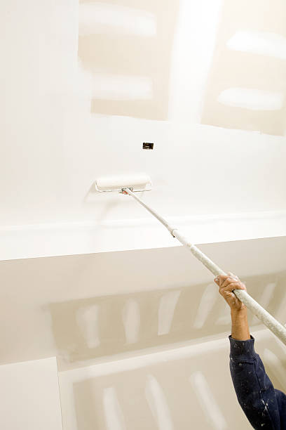 Best Attic Mold Removal  in Palmer Lake, CO