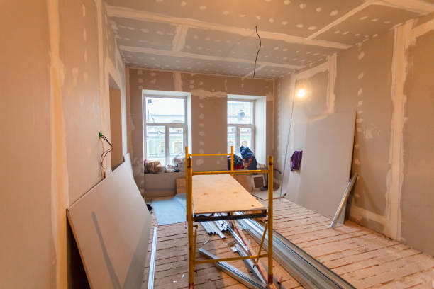 Best Emergency Mold Remediation  in Palmer Lake, CO
